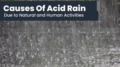 causes-of-acid-rain