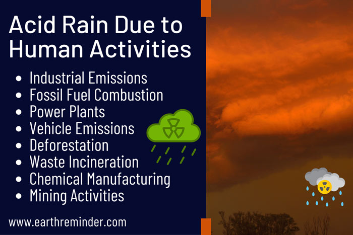 causes-of-acid-rain-due-to-human-activities