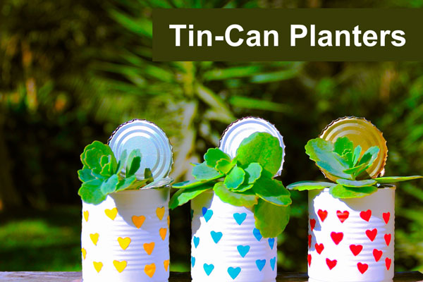 tin-can-planters