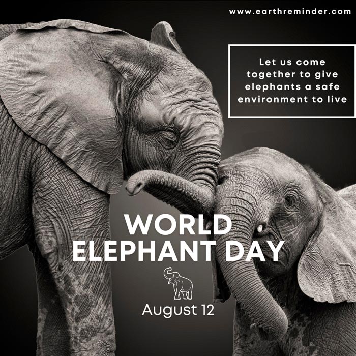 world-elephant-day