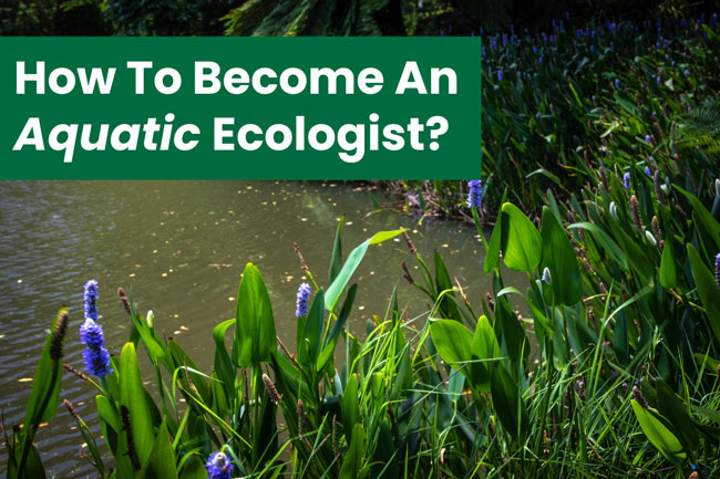 become-an-aquatic-ecologist