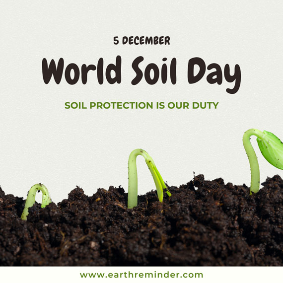 World Soil Day, 5 December.