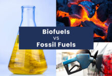 biofuels vs fossil fuels: difference between biofuels and fossil fuels