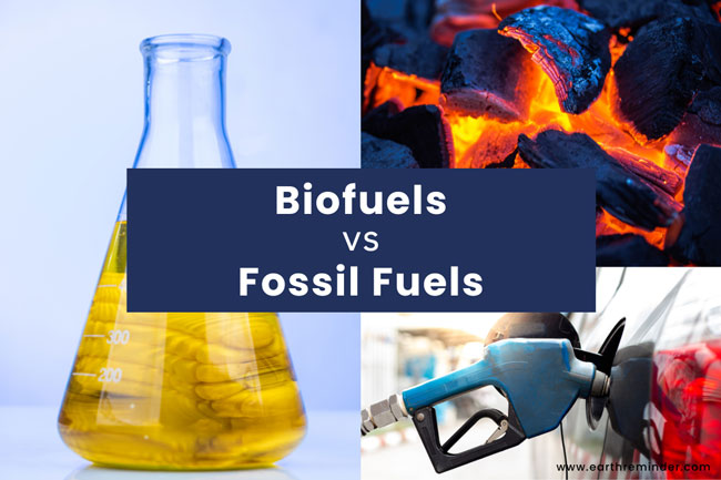 biofuels vs fossil fuels: difference between biofuels and fossil fuels