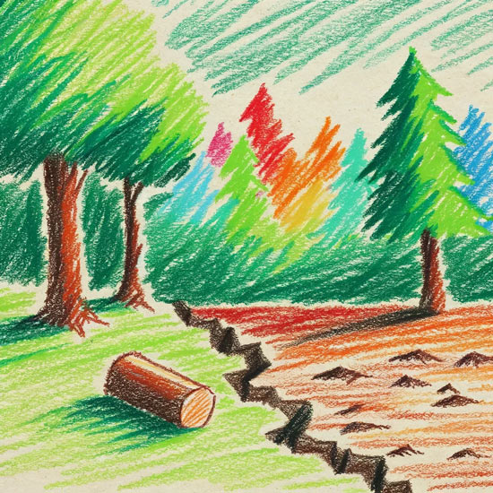 deforestation before and after drawing