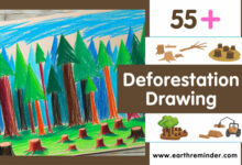 deforestation drawing