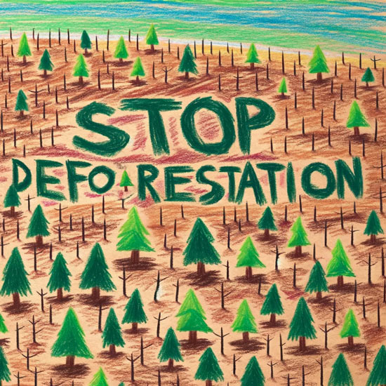 stop deforestation drawing