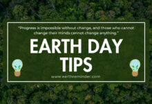 Earth-Day-tips-to-save-the-Earth