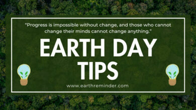 Earth-Day-tips-to-save-the-Earth