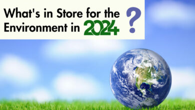 whats-in-store-for-the-environment-in-2024