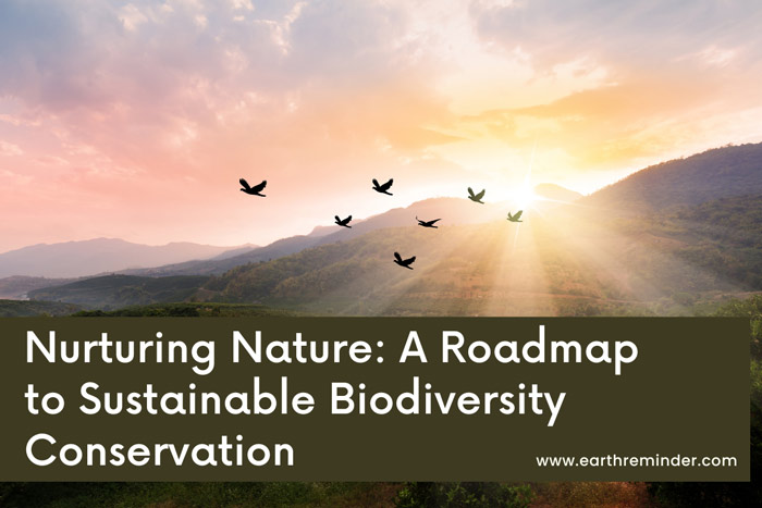 Nurturing Nature: A Roadmap to Sustainable Biodiversity Conservation