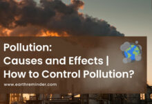 pollution-causes-effects-and-control