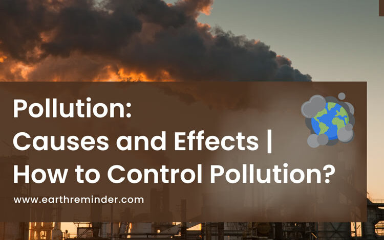 pollution-causes-effects-and-control