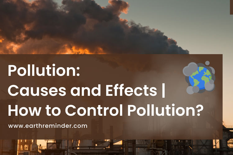pollution-causes-effects-and-control