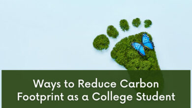 Ways to Reduce Carbon Footprint as a College Student