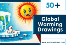 global-warming-drawings