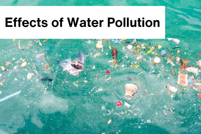 effects-of-water-pollution