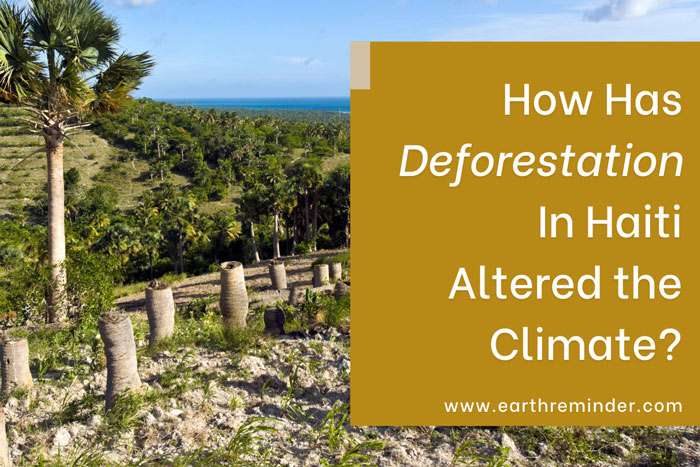 how-has-deforestation-in-Haiti-altered-the-climate