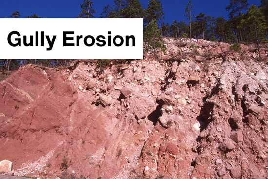 Gully Erosion