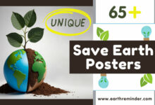 save-earth-posters
