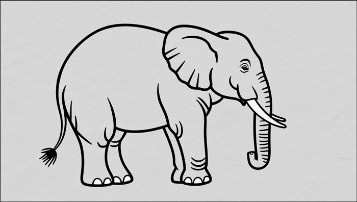 elephant drawing
