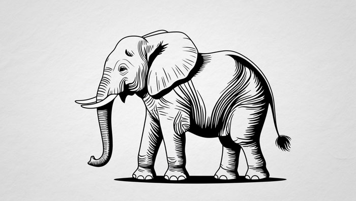 realistic draw of elephant