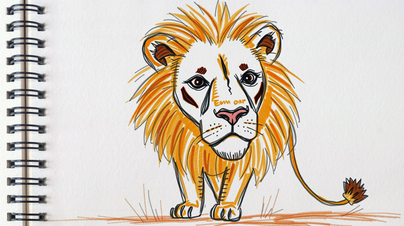 lion drawing