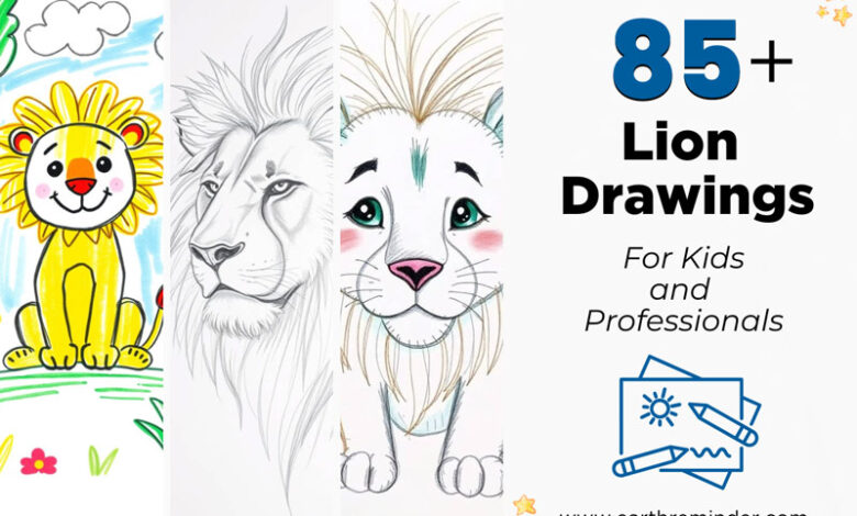 lion-drawings-for-kids-and-professionals