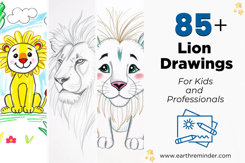 lion-drawings-for-kids-and-professionals