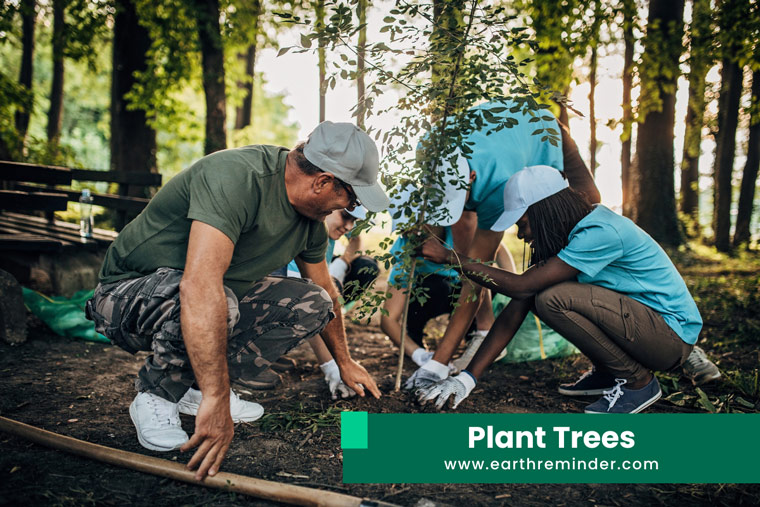 Plant-Trees-earth-day-tips