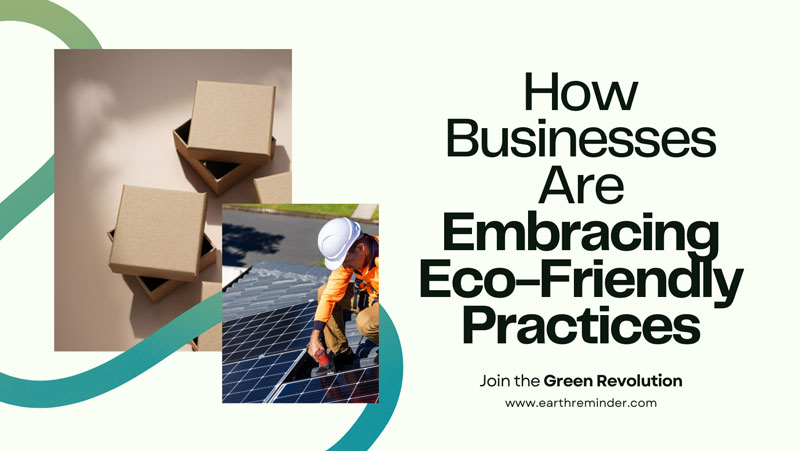 how-businesses-are-embracing-eco-friendly-practices