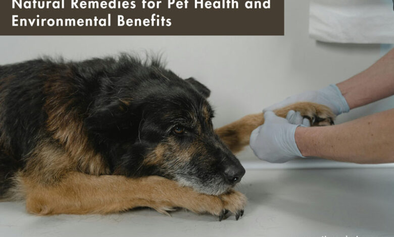 Natural Remedies for Pet Health and Environmental Benefits