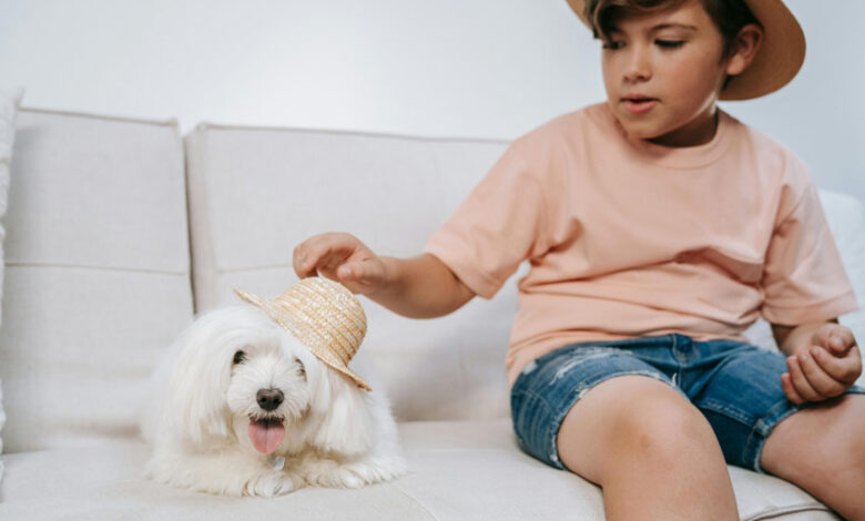 Ideal Pets