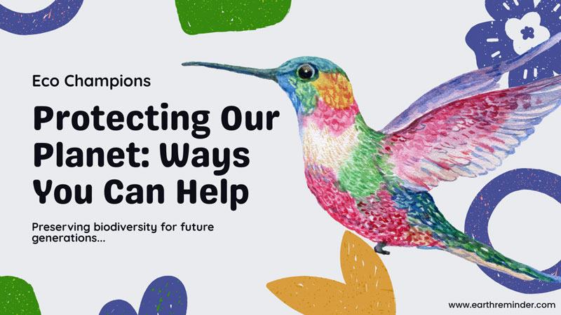 Protecting Our Planet, Ways You Can Help